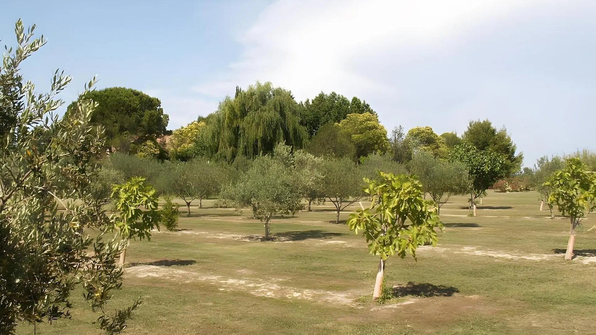 Jolie Maison Au Charme Provencal Tarascon 0*,