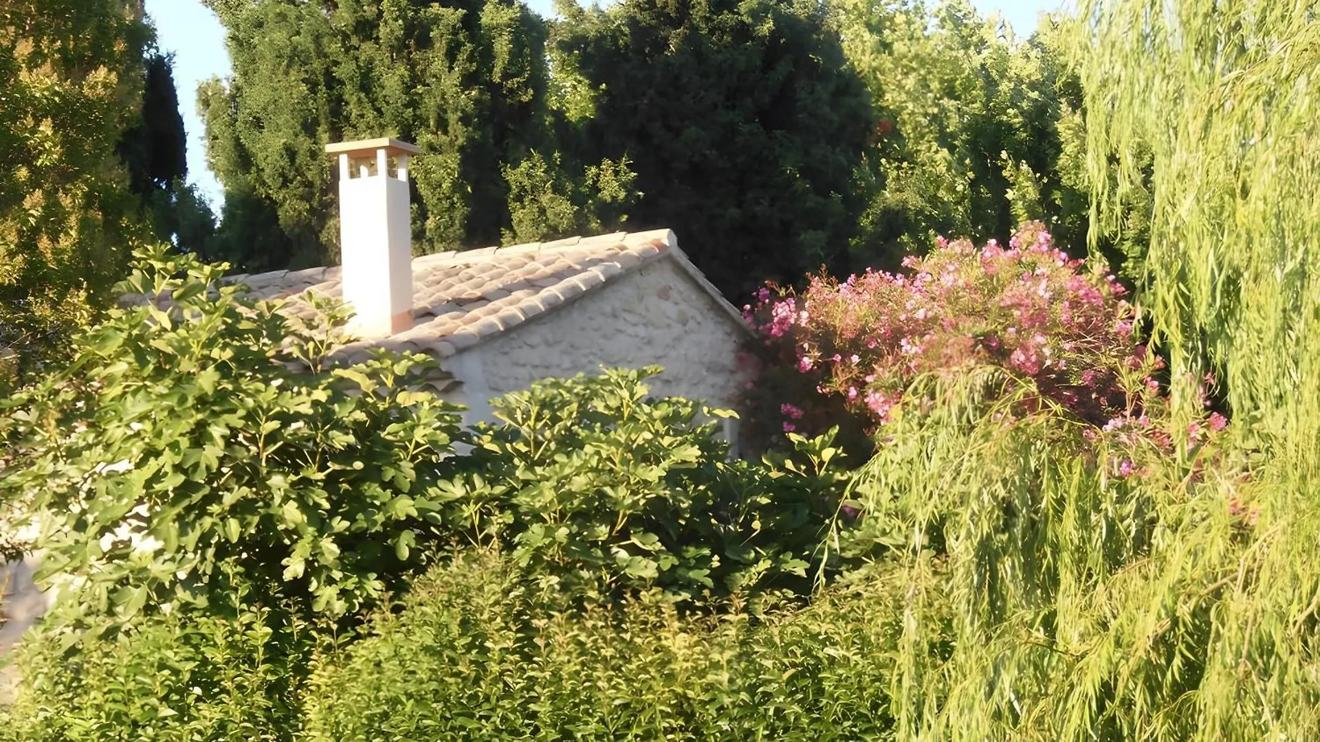 Jolie Maison Au Charme Provencal Tarascon Frankrijk